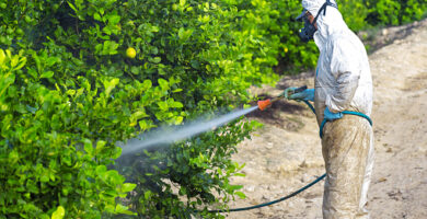Consejos para prevenir las plagas en el hogar 7 Consejos para prevenir las plagas en el hogar
