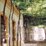 Lo que debes saber de Andalucía