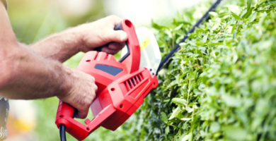 ¿Qué puedo hacer con una oficina de jardinería?